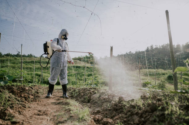 Best Pest Prevention Services  in Newton Falls, OH