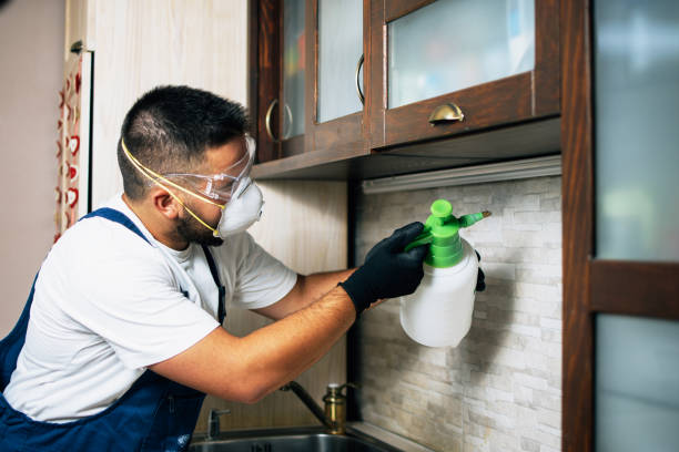 Best Best Pest Control Companies  in Newton Falls, OH