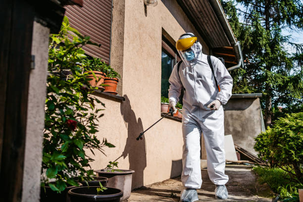 Best Affordable Pest Control Services  in Newton Falls, OH