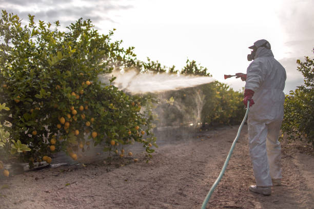 Best Affordable Pest Control Services  in Newton Falls, OH