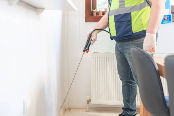 Best Local Pest Control Services  in Newton Falls, OH