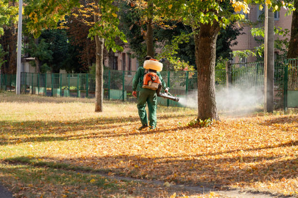 Best Bed Bug Extermination  in Newton Falls, OH