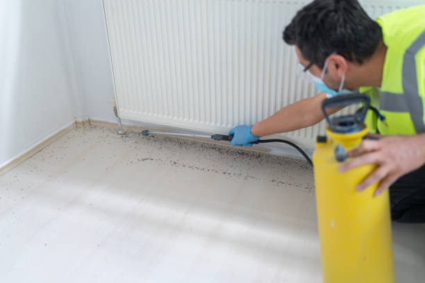 Best Cockroach Control Services  in Newton Falls, OH
