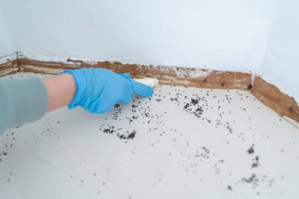 Best Commercial Pest Control Services  in Newton Falls, OH